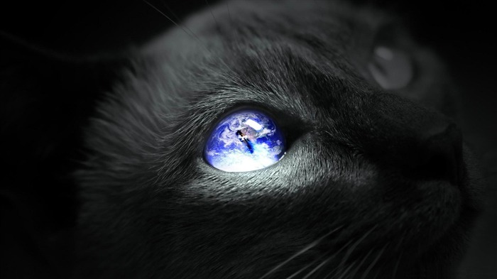 earth cat eye-Creative Design widescreen wallpaper Views:17540 Date:2013/2/16 15:21:43