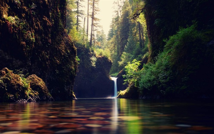 forest Waterfall-Natural scenery HD Wallpaper Views:14118 Date:2013/2/27 18:53:10