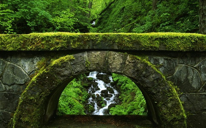 old green bridge-Natural scenery HD Wallpaper Views:19705 Date:2013/2/27 18:56:10