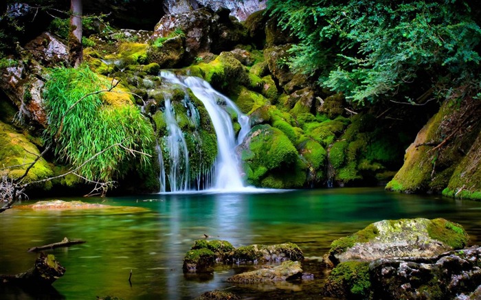 tamborine national park-Natural landscape fondo de pantalla widescreen Vistas:34477