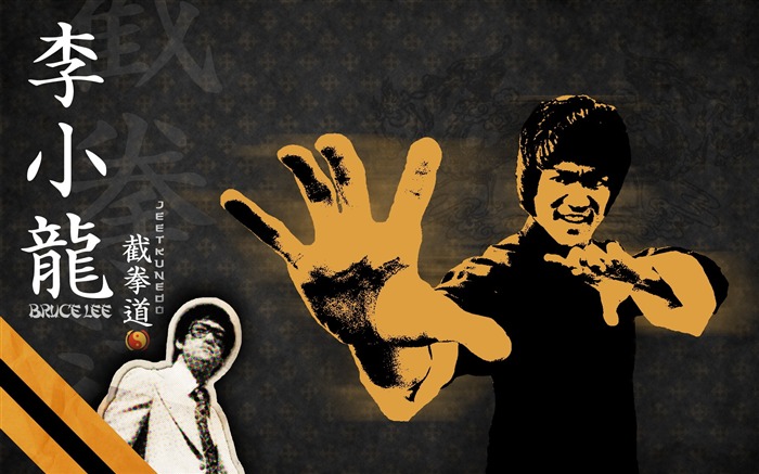 Bruce Lee-Chinois Kung Fu HD Fonds d'écran Vues:13298