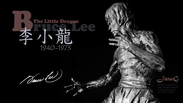 Bruce Lee-Chinois Kung Fu HD Fonds d'écran Vues:12671