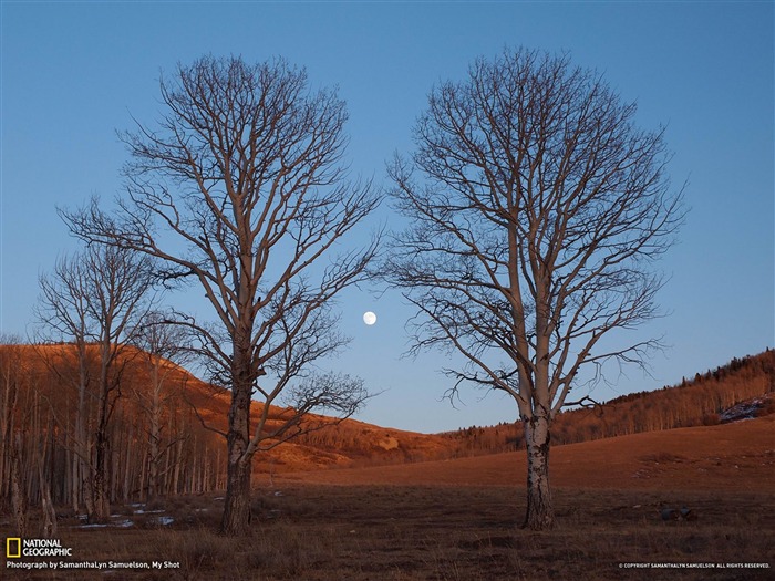 Moonrise Colorado-National Geographic fondo de pantalla Vistas:10201