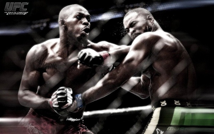 UFC-sports theme HD Wallpaper Views:23278 Date:2013/3/1 19:13:40