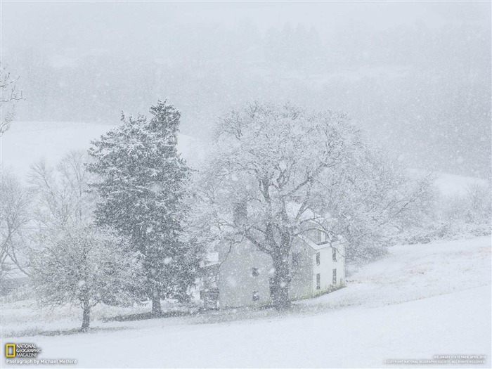 andrew wyeth woodlawn farmhouse-National Geographic wallpaper Views:13707 Date:2013/3/24 20:56:05