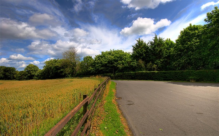 route de campagne-Paysage naturel écran large Fond d'écran Vues:13199