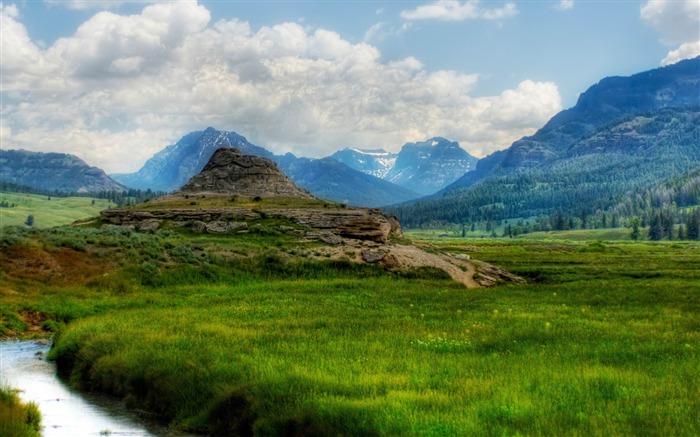 ruisseau dans yellowstone-Paysage naturel écran large Fond d'écran Vues:9027