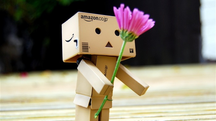 cadeau romantique fleur-Boîtes Danboard robot HD photo Fond d'écran Vues:14400