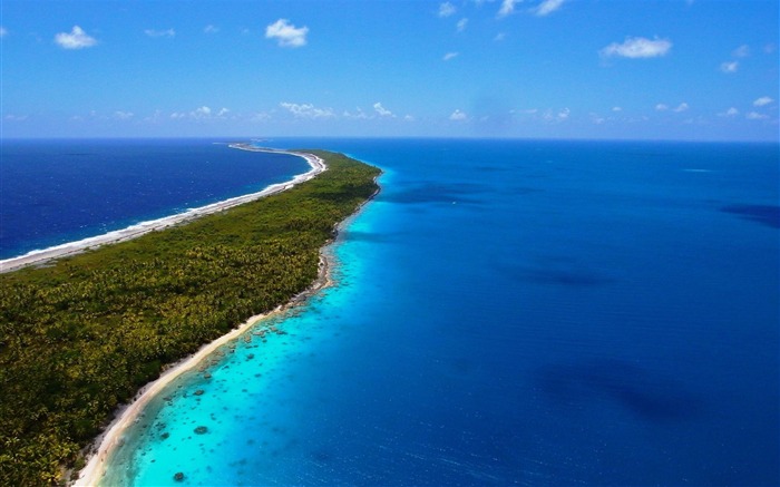 land island sea azure palm trees vegetation-Natural scenery HD wallpaper Views:17878 Date:2013/3/19 0:20:57