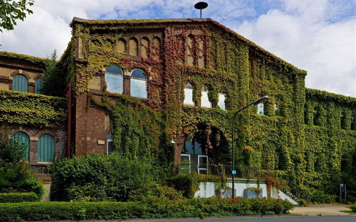 overgrown house-City fotografía de viaje fondo de pantalla Vistas:13217