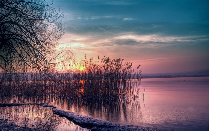 reed reservoir decline coast evening-Perfect landscape HD wallpaper Views:11585 Date:2013/3/14 23:26:58