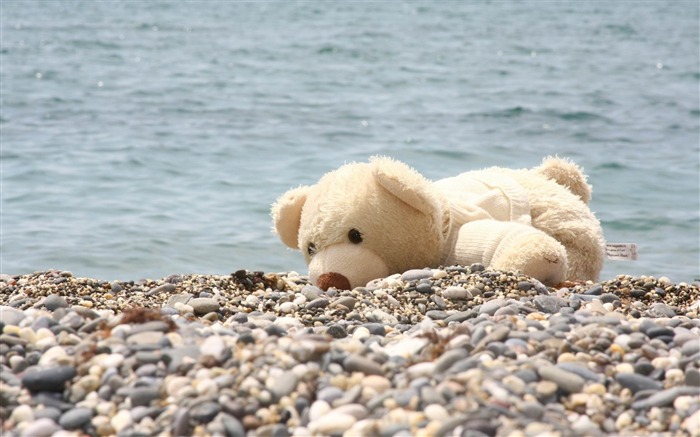 soft toy bear beach rocks sea-quality Desktop HD wallpaper Views:12507 Date:2013/3/14 22:33:02