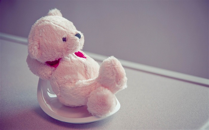 soft toy plate teddy bear-High Quality HD wallpaper Views:16801 Date:2013/3/31 21:43:29