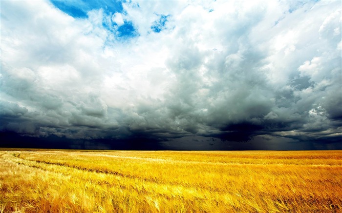 tempête-Paysage naturel écran large Fond d'écran Vues:8653