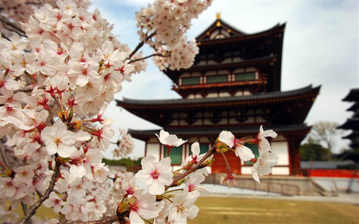 寺院-美しい風景のHDの壁紙 ブラウズ:12457