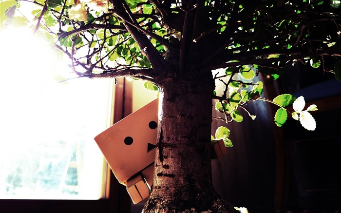 arbre jouet-Boîtes Danboard robot HD photo Fond d'écran Vues:11679