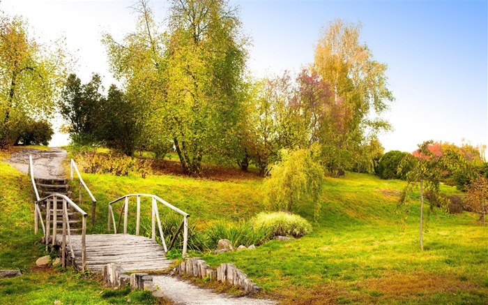 trees grass handrail-Perfect landscape HD wallpaper Views:11827 Date:2013/3/14 23:23:47