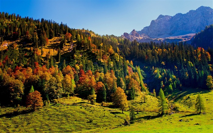 bois montagnes verdoyantes collines de secours-Paysages naturels HD Fond d'écran Vues:10320