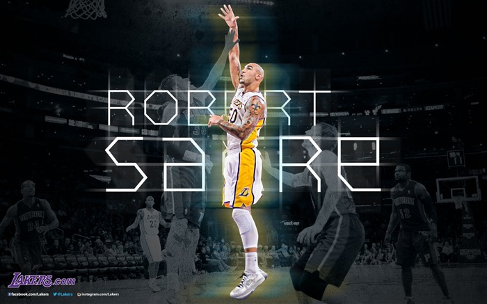 Robert Sacre 罗伯特·萨克雷-NBA洛杉矶湖人2012-13赛季壁纸 浏览:9621