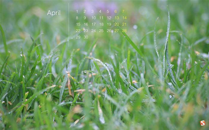 Spring Grass-April 2013 calendar desktop wallpapers Views:7983 Date:2013/4/1 0:42:00