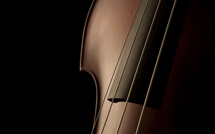 Cello close-up - Papel de parede widescreen Visualizações:19894