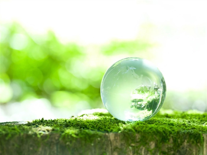 gota de rocío sobre musgo-fondo de pantalla panorámica Vistas:12693