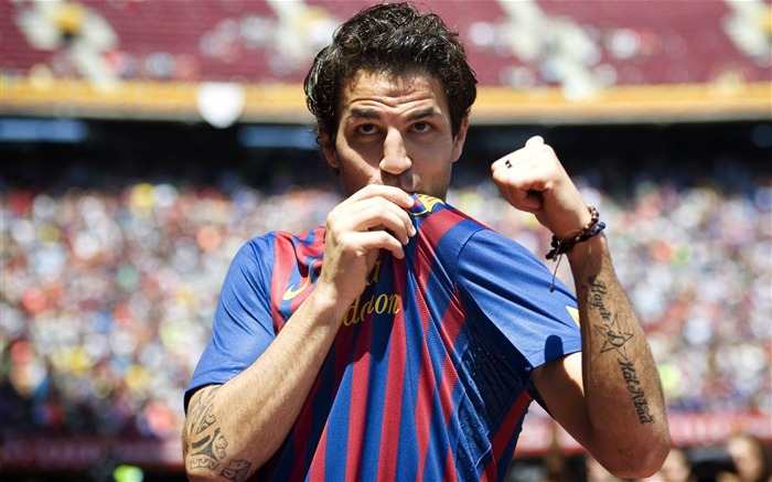 football fabregas barcelona-Football moment HD Wallpaper Views:10931 Date:2013/4/17 0:16:20