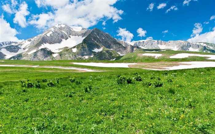 mountain pasture spring-Nature Landscape wallpaper Views:15200 Date:2013/4/21 0:50:09