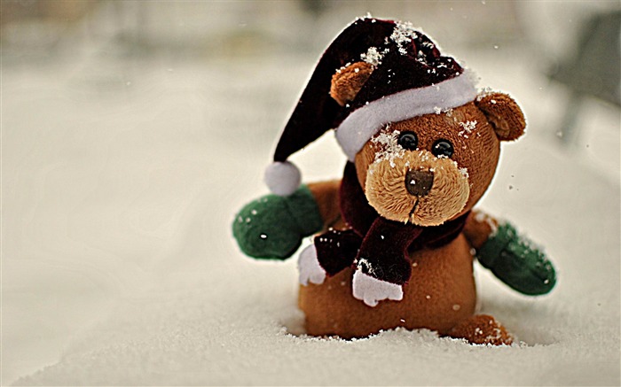 oso de peluche de la nieve teddy-alta calidad fondo de pantalla HD Vistas:16760