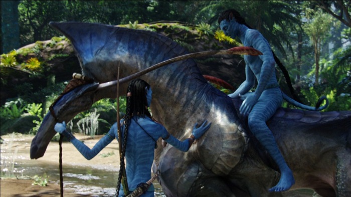 2014 Avatar 2 Film HD Fond d'écran Vues:22692