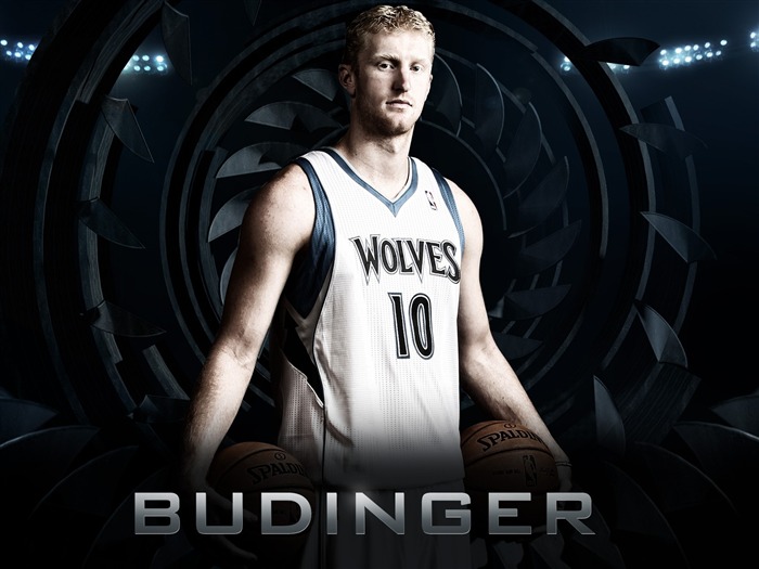 Chase Budinger-ティンバーウルブズNBA2012-13シーズンの壁紙 ブラウズ:7344