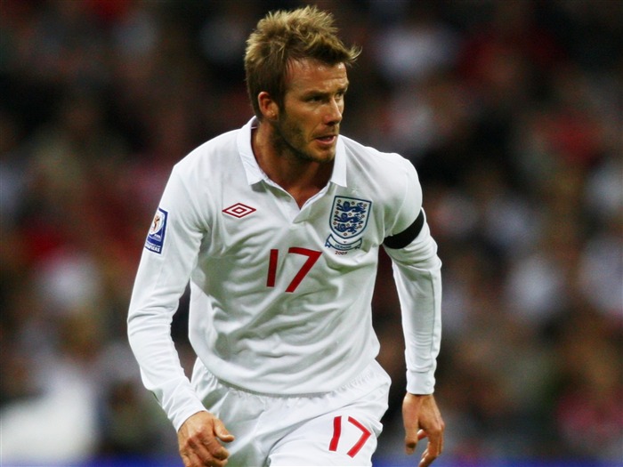 David Beckham superstar de futebol aposentado Memorial HD Wallpaper 14 Visualizações:11827