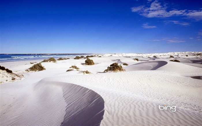 Fondo de pantalla de desierto-mayo de 2013 Bing Vistas:9545