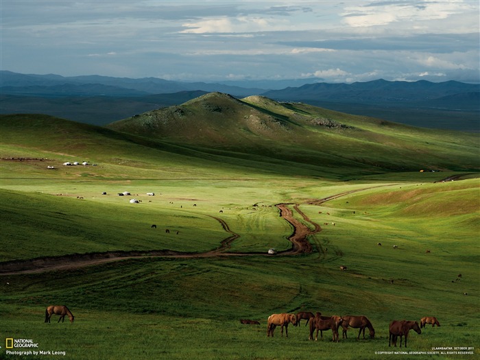 Caballos mongol Estepa-National Geographic fondo de pantalla Vistas:22167