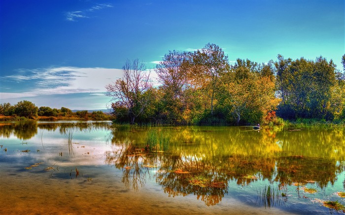 Summer Lake-Paysage widescreen fond d'écran Vues:13863