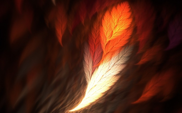 feather art-May HD quality wallpaper Views:9706 Date:2013/5/27 21:45:27