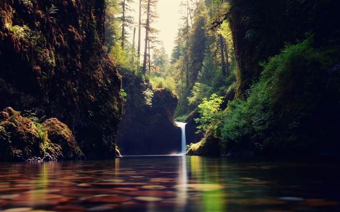 Fondo de pantalla de cascada de bosque de verano Vistas:10997