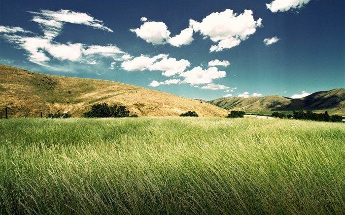 vallée verte-Beau paysages naturels fond d'écran Vues:9543