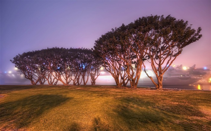 trees in san diego-High quality HD Wallpaper Views:8631 Date:2013/5/11 23:56:57