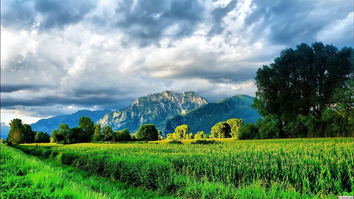 Alpine Wilderness-Nature Landscape fondo de pantalla Vistas:10986