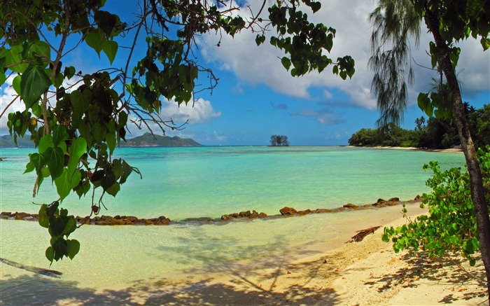 Ilha bonita Ilhas Seychelles cenário HD wallpaper Visualizações:11017