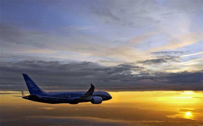 Boeing 787 Dreamliner HD Wallpaper 03 Vistas:12713