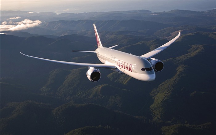 Boeing 787 Dreamliner HD Wallpaper 04 Vistas:14684