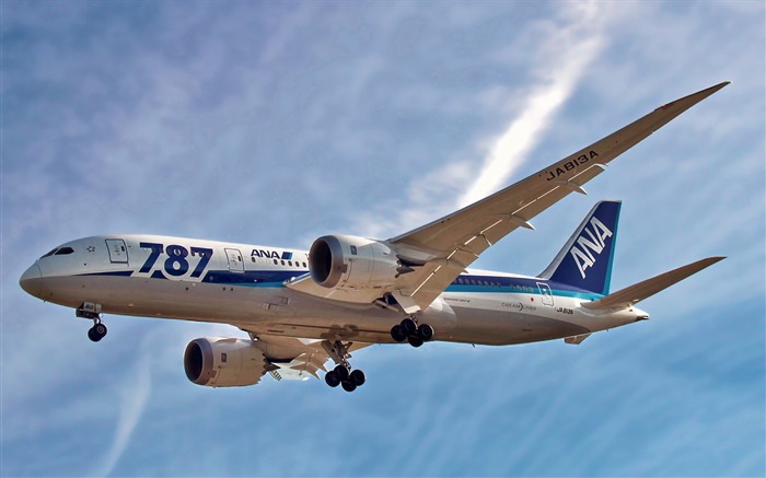 Boeing 787 Dreamliner HD Wallpaper 08 Vistas:12695