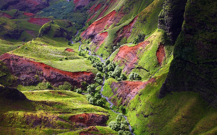 River Canyon-Hawaiian Islands paysage Fond d'écran Vues:10125