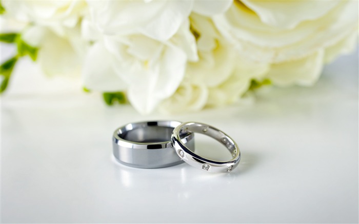 Couple rings-the witness of love HD desktop wallpaper Views:30238