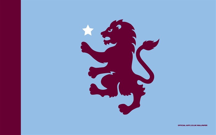 Vuela la bandera de Villa-Aston Villa 2013 fondo de pantalla HD Vistas:8242