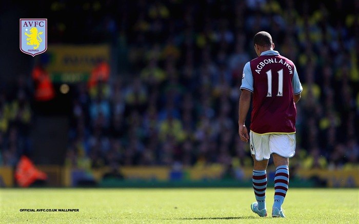 Gabby the great-Aston Villa 2013 fondo de pantalla HD Vistas:7198