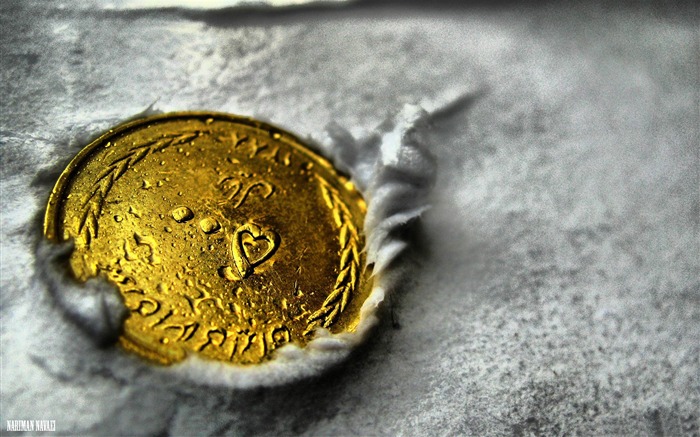 Gold Coin-Macro photographie fond d'écran Vues:12772