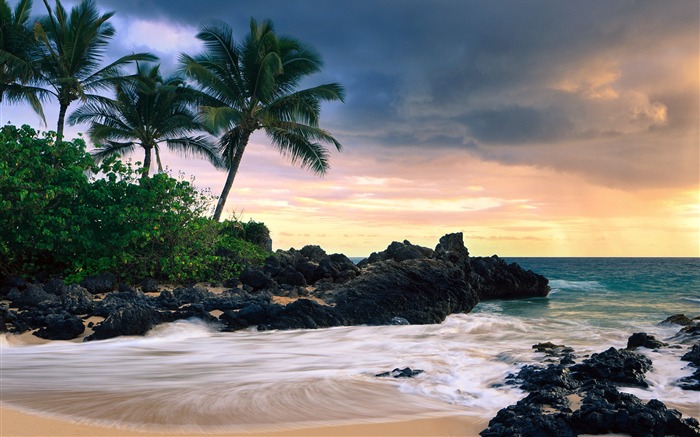 Palm beach rocks-Hawaiian Islands paysage Fond d'écran Vues:11076